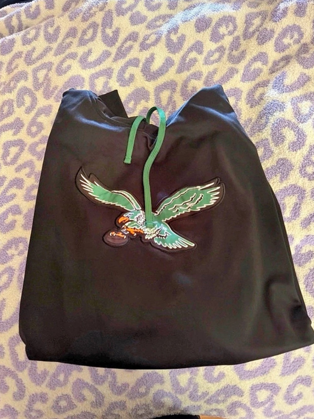Fanatics Philadelphia Eagles Fanatics Pullover Hoodie